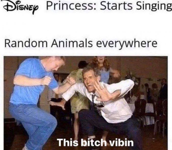 19 Times Disney Memes Were Definitely Made By And For Adult Disney Fans 