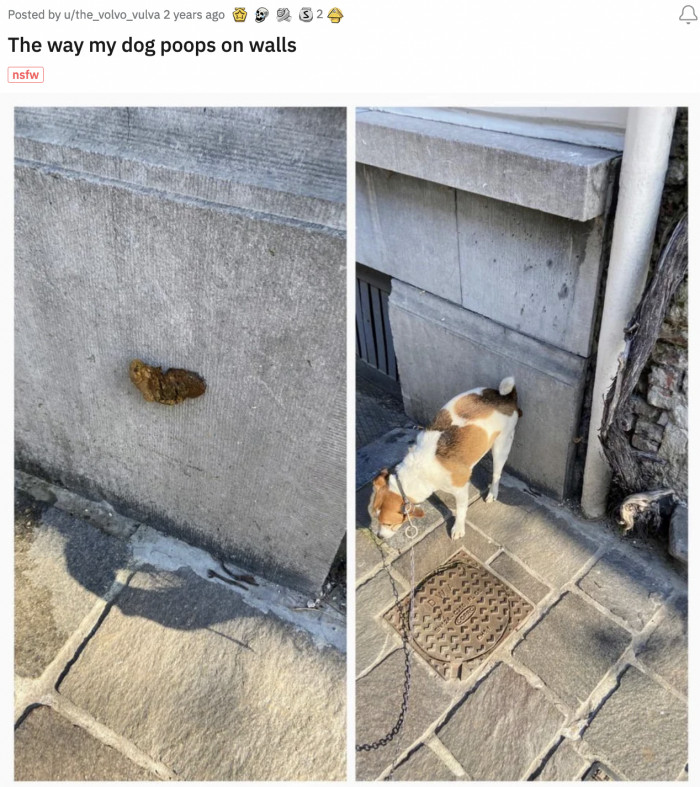 12. This artist with a highly questionable medium