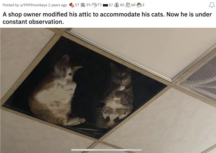 29. Proving that someone is always watching you