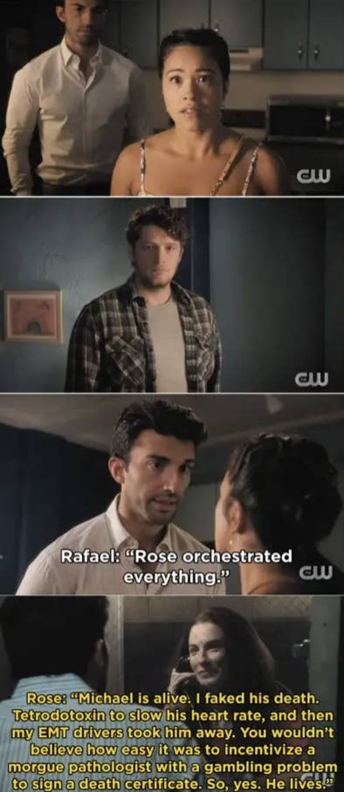 31. Bad plot twist: On Jane the Virgin, when Jane discovered Michael was still alive.