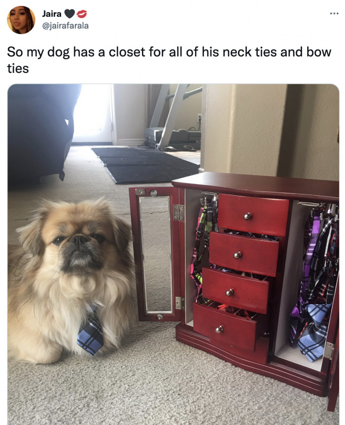 18. This sophisticated gentleman who needs to be the cover of Vogue right now!