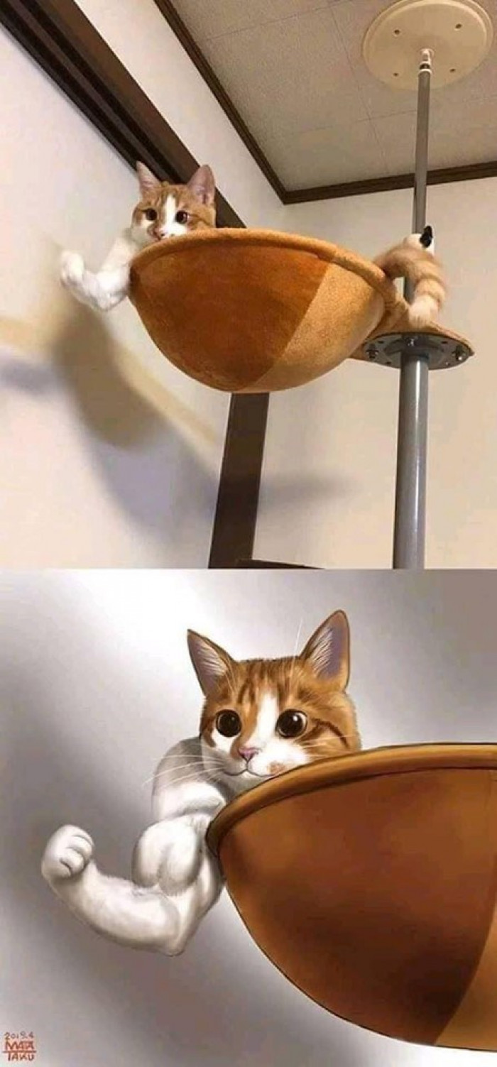 "Who wants to arm wrestle?"