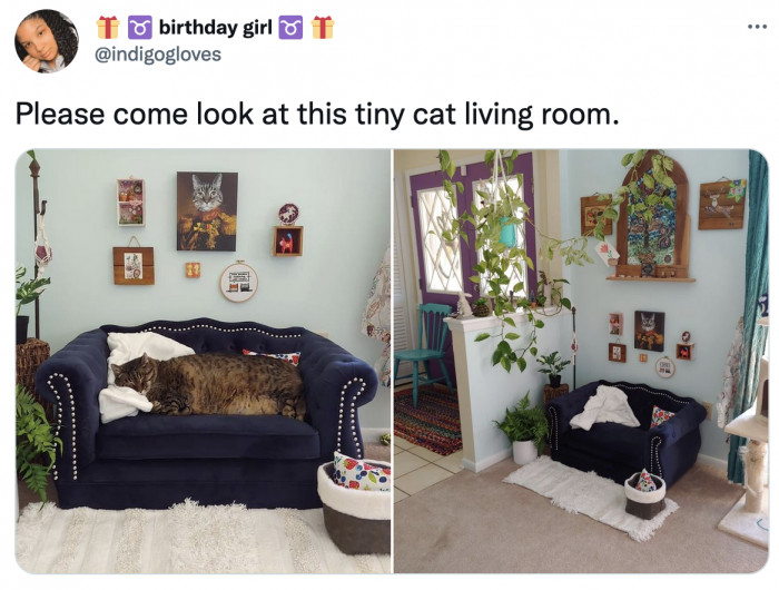 15. That looks like a really comfy living room!