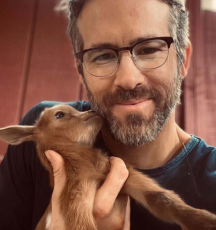 32. Ryan Reynolds with a baby goat