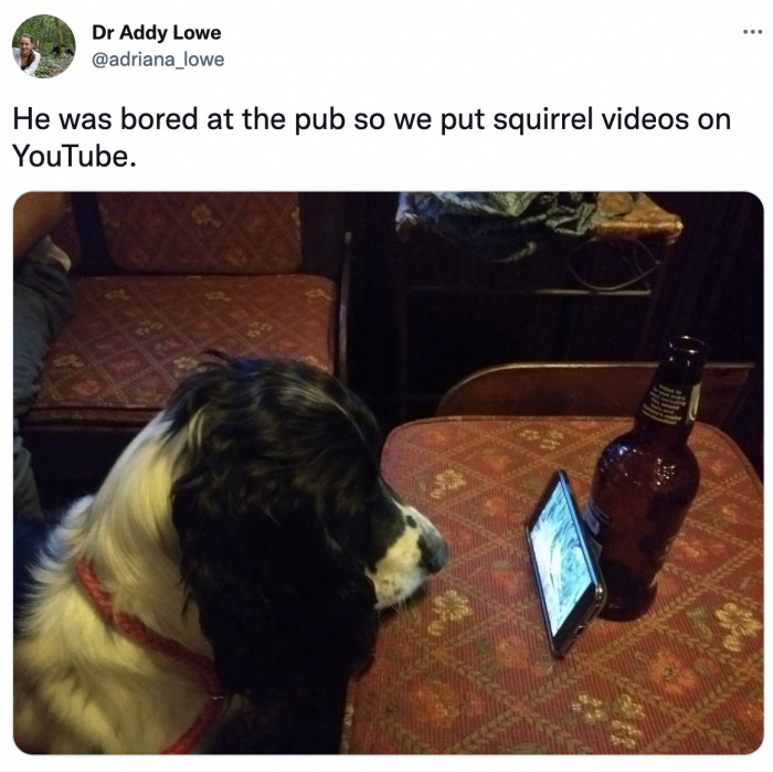 25. Who made this poor boy the designated driver?