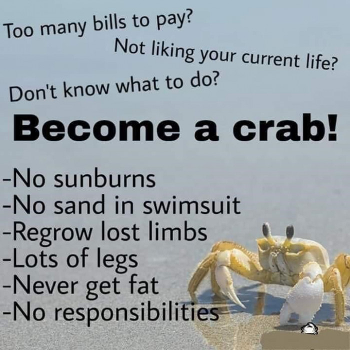 5. If only we were crabs, we'd never have to worry about life.