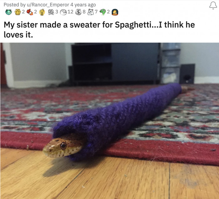 23. Spaghetti found dripping with ~sauce~