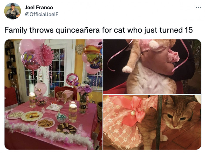 13. This up-and-comer who had the best quinces ever!