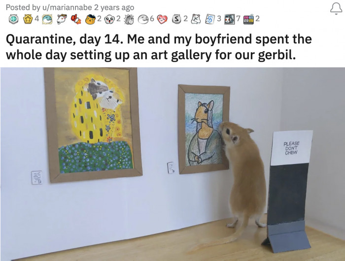 9. The number one art collector according to The Gerbil Times