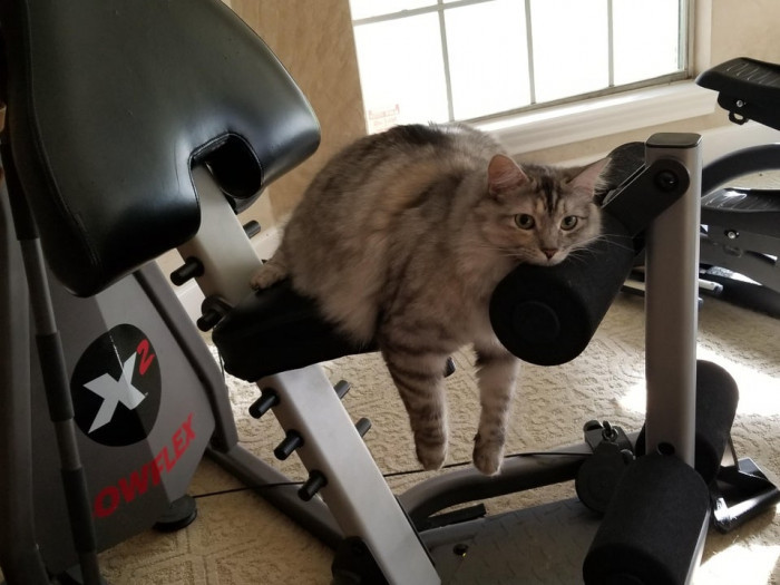 11. Workout derp giving emotional support