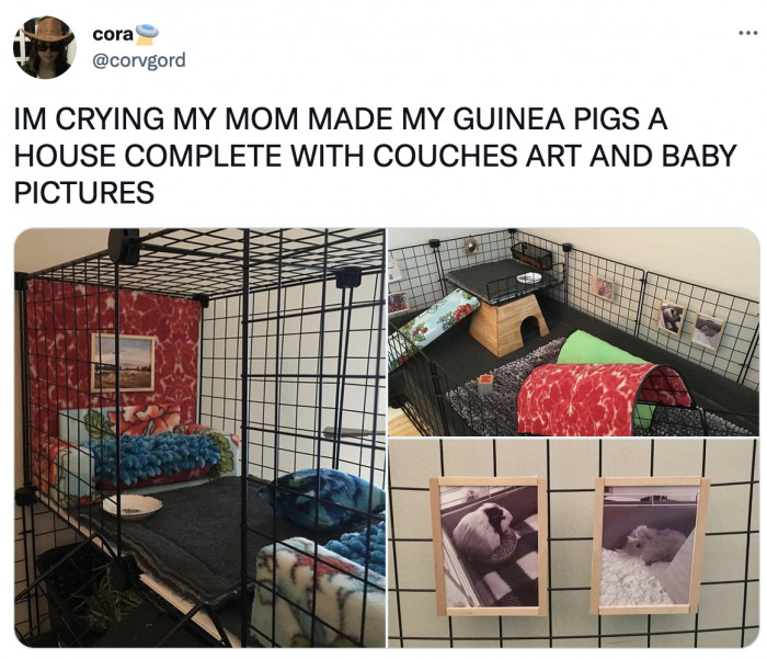 21. This is their forever home!