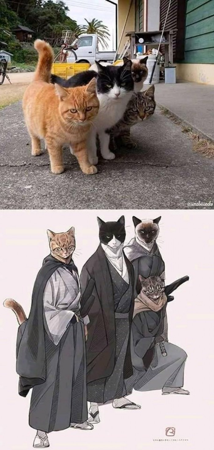 Cat samurai