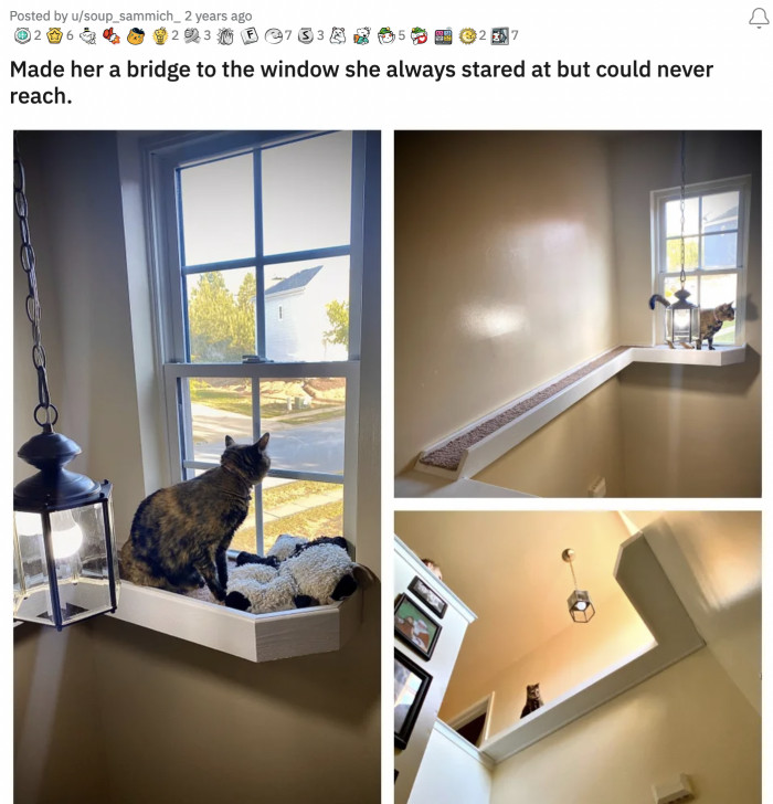 27. Ah, finally a window view just for her!