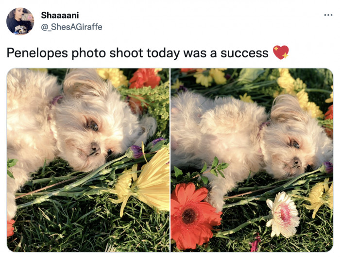 7. Penelope, who was so extra she had her own photoshoot. She looks like she's ready to release her first album.