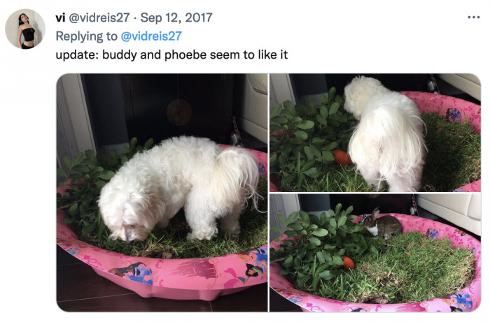 ... they are loving it!