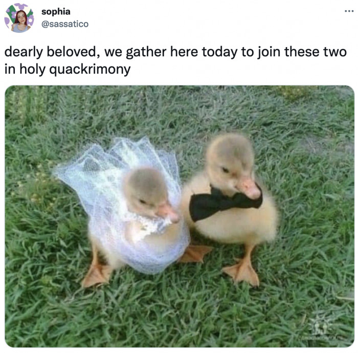 20. I can't help but cry at weddings