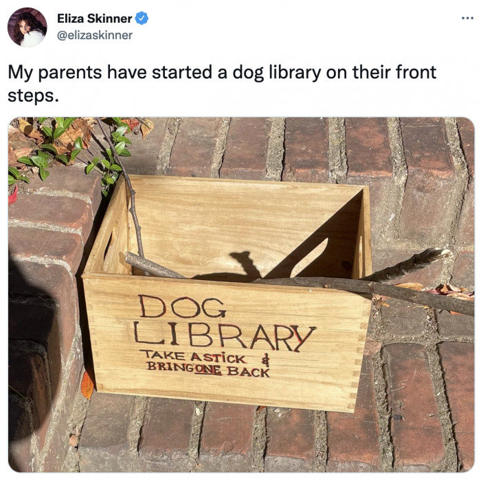 10. You don't need the ability to read to understand the siren call of the sticks