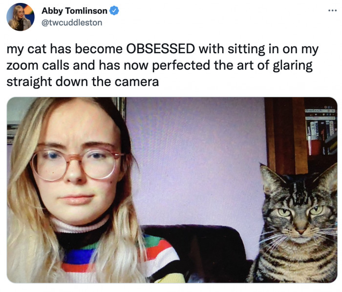 5. This micromanaging paw, I mean boss, who just wants to check if you're keeping up with the deadline