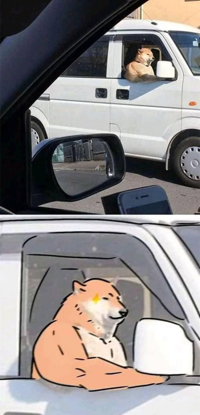 Imagine if you saw this from your car window