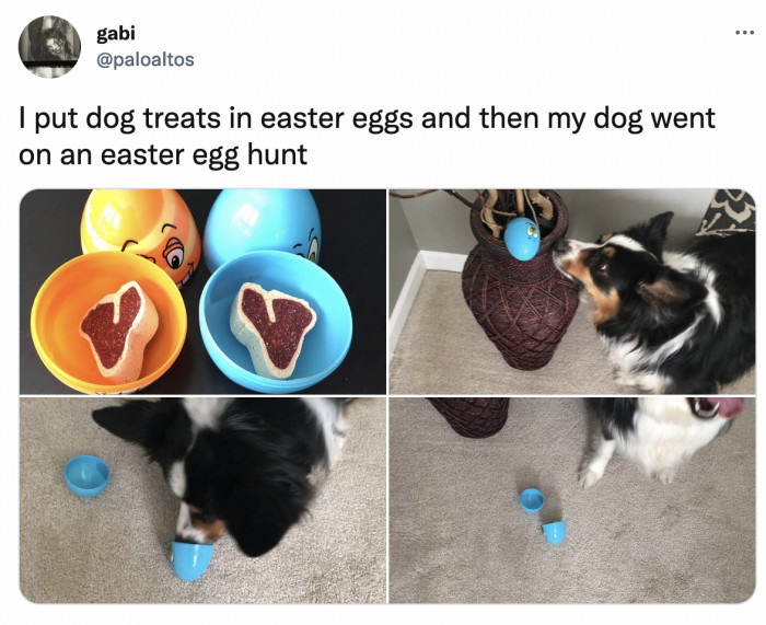 17. Please tell me that's not bunny meat