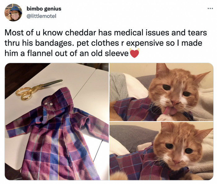 1. Cheddar's mom sewed pajamas for him out of an old shirt that probably smelled like her!