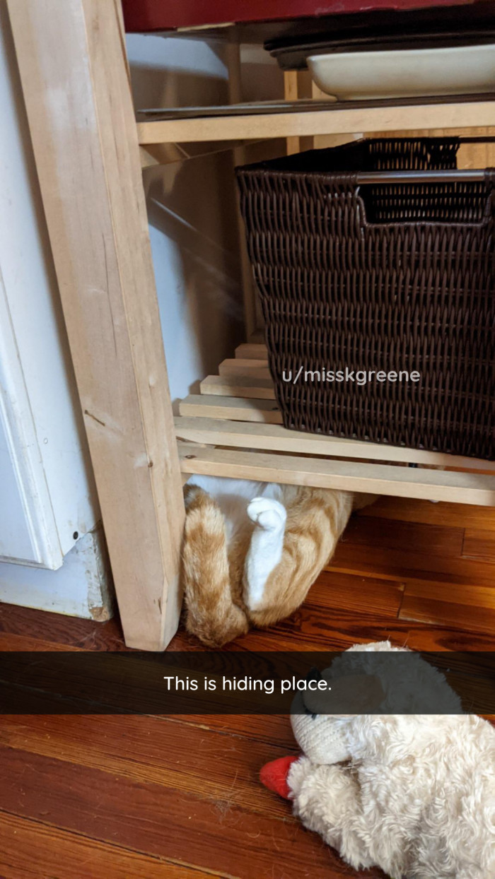 5. This is a very good hiding place.