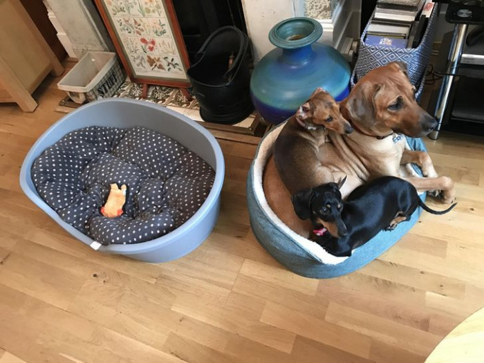 9. When you can't stay away from each other.