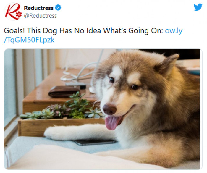 17. I wish this were me.