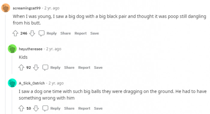 11. This is absolutely hilarious!