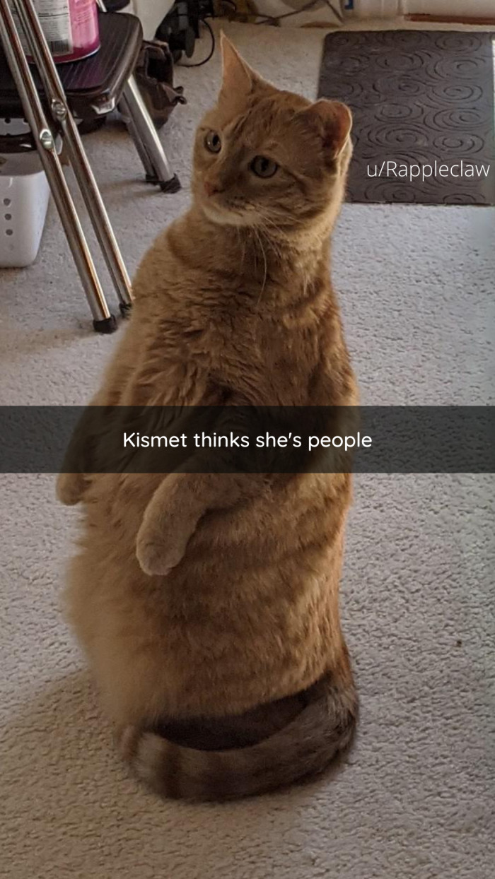 13. Maybe she is people.