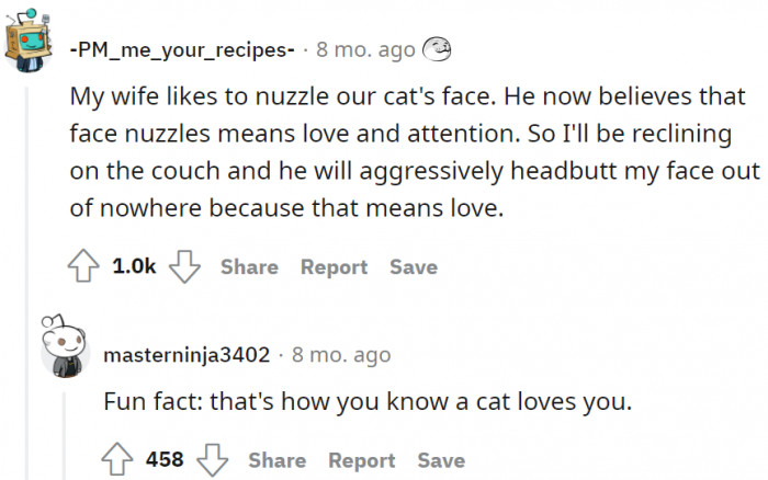 When face nuzzles mean love and attention.