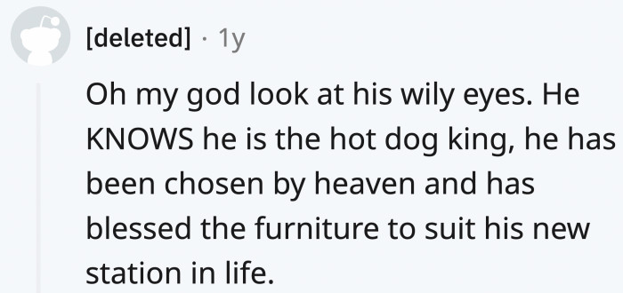 The smelly furniture would fit well in his doggy office