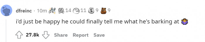 7. Them talking would solve a lot of mysteries we ponder.