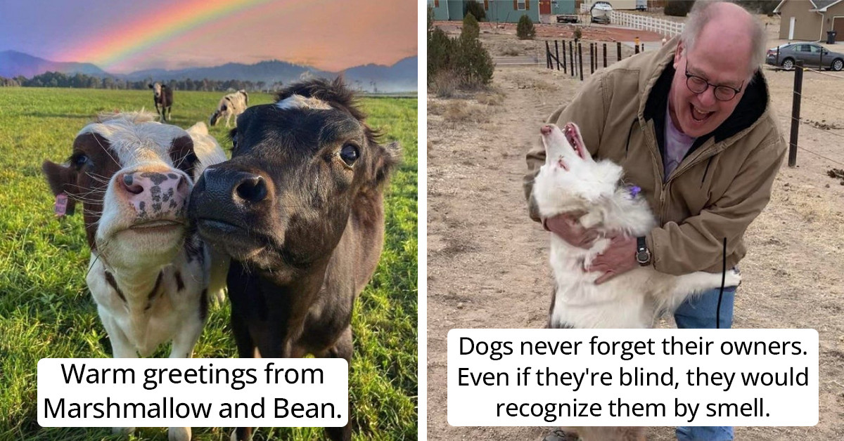 Make Your Day Extra Brighter With These 15 Adorable Animal Posts Shared By The Good Folks Of Reddit