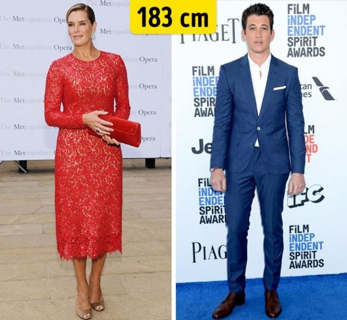 4. The actual height of Brooke Shields and Miles Teller