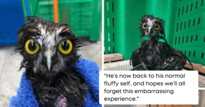 15 Really Wholesome Things That Happened Recently You Absolutely Have to See