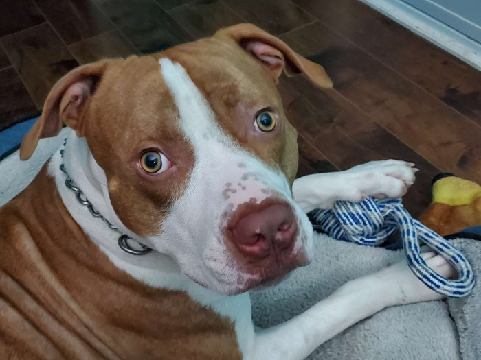 Luckily, Candia was able to give Donald some of her medication before taking him to the doctor.