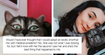 Ugly Kitty Lingering At The Shelter Is Adopted By A Woman Who Knows She Isn't Ugly At All