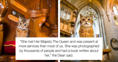 Cat Lived In A Church For 12 Years, and When She Passed Away, They Gave Her A Beautiful Memorial Service