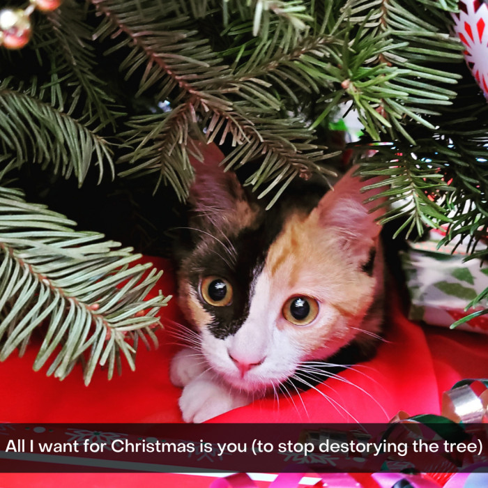 6. Look at those happy eyes.