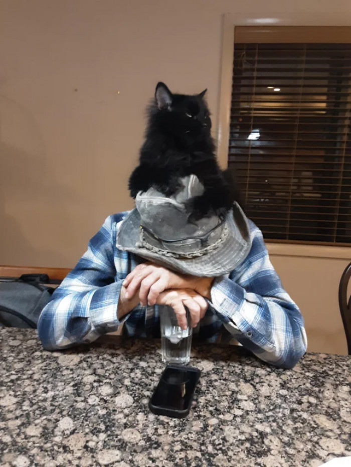 9. This cat is here to listen and top off your nightcap. Let out all your problems