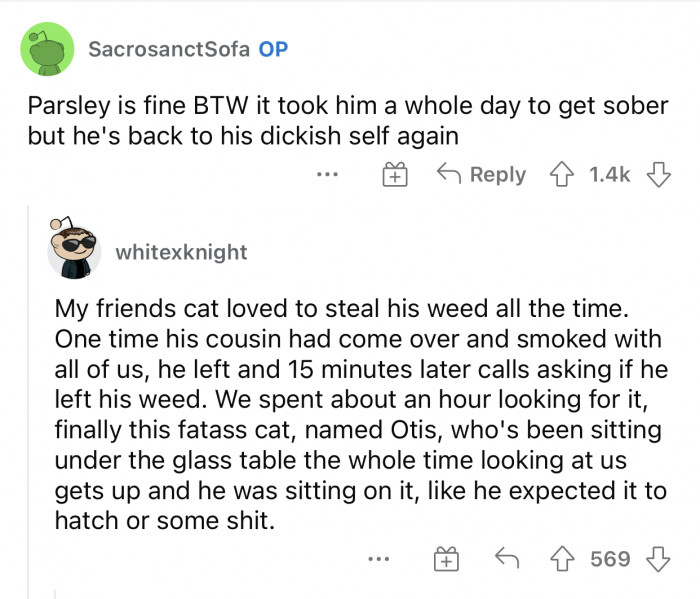 OP then added an update letting everyone know that Parsley is okay.