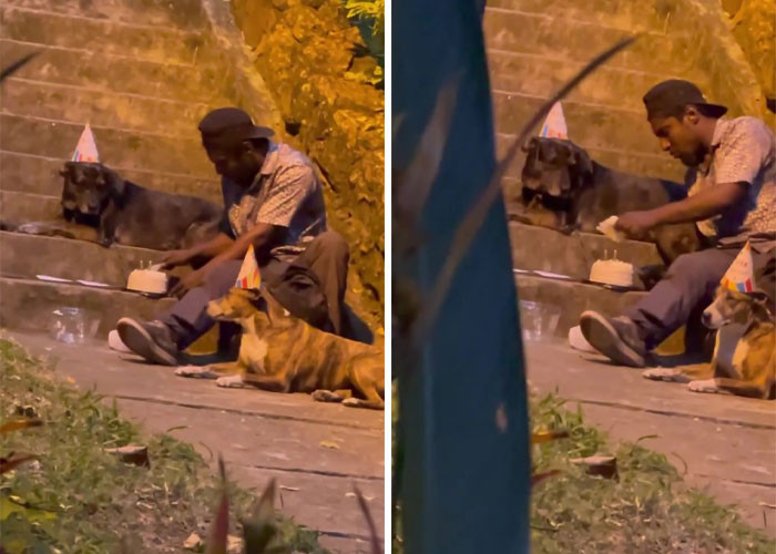 Choco, of course, cut the first pieces to give to his dogs