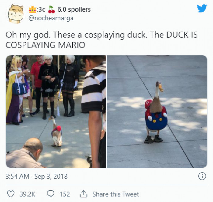 10. A Mario Duck