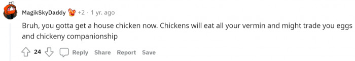 Meanwhile, someone suggested OP get a chicken to get rid of Big Bongo. The question is, how many chickens does it take to get rid of Big Bongo?