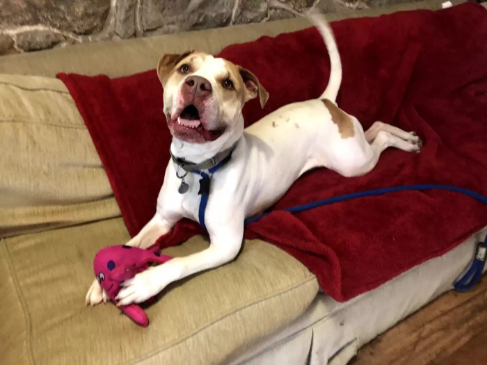 Coco is too afraid of strangers.