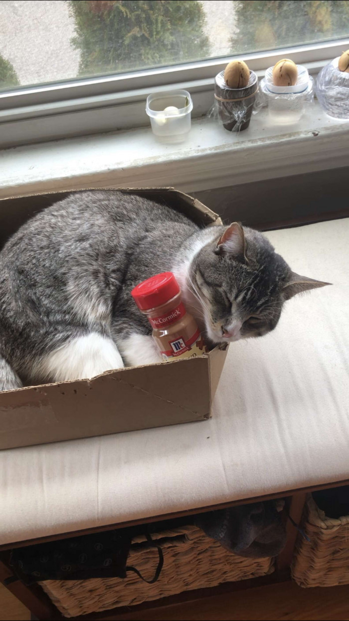Winston and his empty cinnamon container are so cute together!!