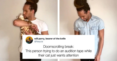 Adorable Kitty Won't Leave His Human Alone During His Audition Video
