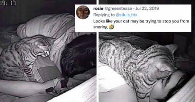 Man Discovers His Cat Is Responsible For Why He Has Sudden Breathing Problems While Sleeping At Night