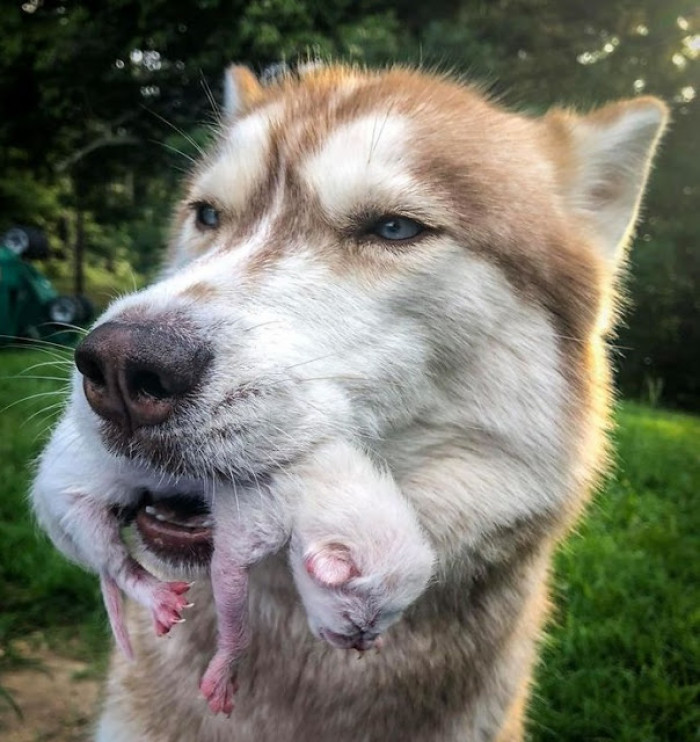 Saving the little ones...